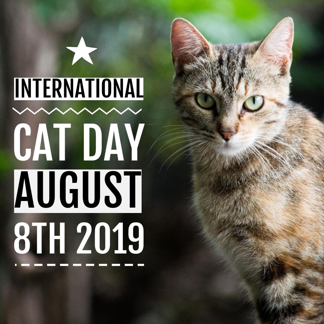International Cat Day OFFEO